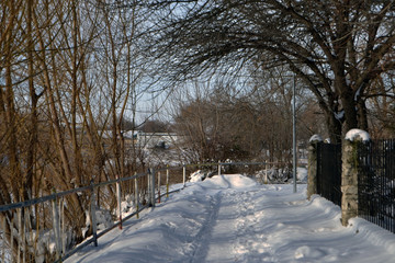 Winter in city park 2 