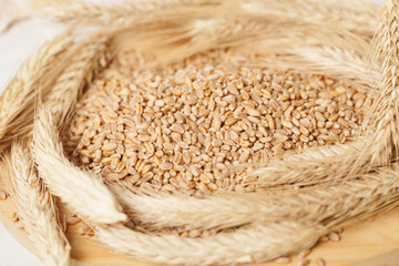 ears of wheat grain meal