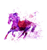 Fototapeta Konie - Vector illustration of running horse