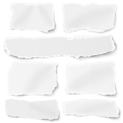 Wall Mural - Set of different shapes blank paper scraps placed on white