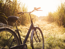 Bicycle Ride Outdoor Summer Meadows Field Sunrise Vintage Tone