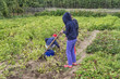 © Виталий Волосевич - Children work on a farm.