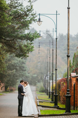 Wall Mural - The brides embracing in the alley