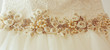 The brilliance belt for wedding dress