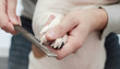 © kellermargo - Owner takes care of dog's claws