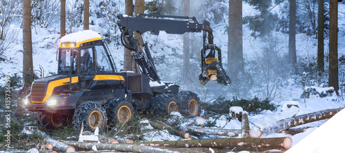 Stampa su Tela  modern forestry machine in a winter forest