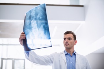 Poster - Doctor examining x-ray of patient