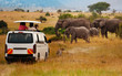 © Sergey Novikov - Tourists on game drive taking picture of elephants