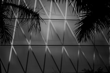 windows of commercial building in Hong Kong with B&W color
