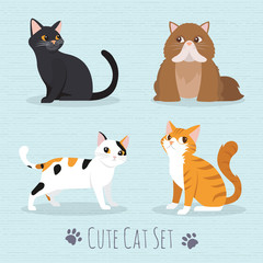 Wall Mural - Cute Cats Breed