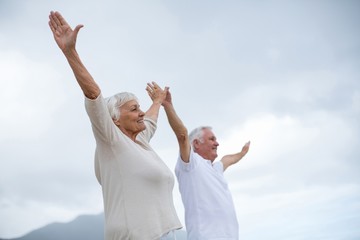 Wall Mural - Senior couple standing with arms outstretched on the beach