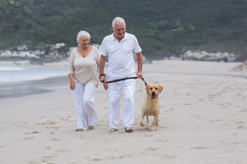 Wall Mural - Senior couple walking on the beach with dog