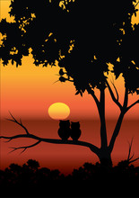 Vector Illustrations , The Owl And The Beautiful Sunsets.