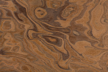 Wall Mural - Californian walnut burl design texture. Natural background close