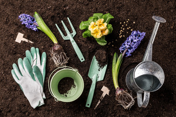 Wall Mural - Spring garden works. Gardening tools and flowers on soil.