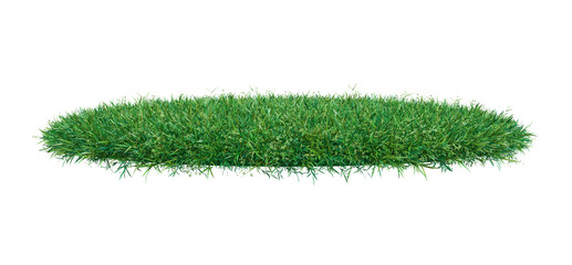 Wall Mural - fresh green grass on white background