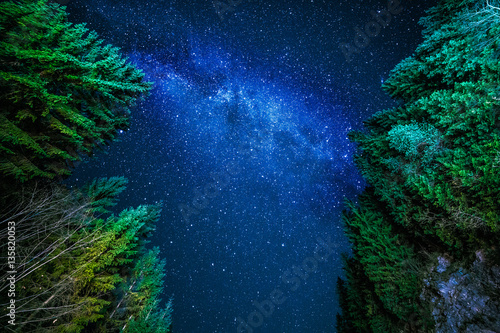 Zdjęcie XXL nocne niebo w lesie