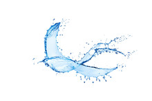 Bird Made Of Water Splashes Isolated On White