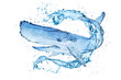 Whale water splash make from water isolate on white background.