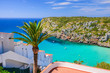 Palm tree overlooking Cala Porter bay with turquoise sea water, Menorca island, Spain