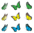 vector butterfly set