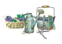 Illustration Of Gardening Tools. Hand Drawn Watercolor Painting On White Background.
