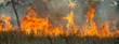 Bushfire in the Kimberley region, Western Australia