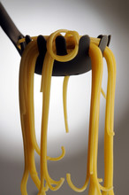 Spaghetti Спагетти สปาเกตตี سباغيتي Cucina Italiana 意大利粉 Špageti Σπαγγέτι Špagety 스파게티 स्पघेटी Սպագետտի ספגטי Spagetti Spaghete Espagueti Espaguetis Spaghetto Gastronomía De Italia Italian Cuisine