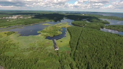 Wall Mural - Forest  near lake of Vyg (Vygozero). Large freshwater lake in the Republic of Karelia, in the northwestern part of Russia
