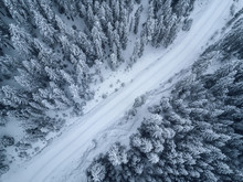 Bird’s Eye, Aerial  View Of Forest Covered With Snow .