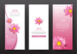 Lotus Flower Flora Banner Vector for hotel salon beauty resort.