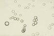 © dkidpix - Beige air bubbles soars over a blurred background