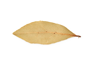 Sticker - Single dried bay leaf isolated