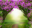Fantasy  background . Magic forest with road.