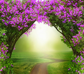 Fantasy  background . Magic forest with road.