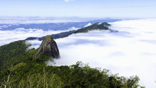 Mist Mountain In National Park Doi Luang Phayao Thailand.