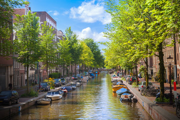 Wall Mural - canal in amsterdam
