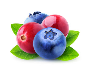 Leinwandbilder - Isolated cranberries and blueberries. Mixed berries with leaves isolated on white background with clipping path