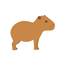 Capybara Vector Illustration