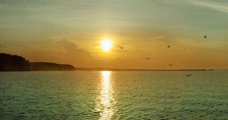 Wall Mural - soft yellow turquoise sunset on the river, the edge of the fores