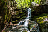 Fototapeta  - New England Waterfalls