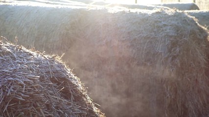 Wall Mural - Frost on farm land