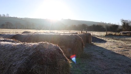 Wall Mural - Frost on farm land