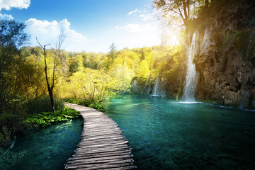 Canvas Print - waterfall in forest, plitvice, croatia
