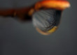 © Sergii Mironenko - Smooth water drop on the branch edge