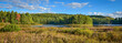 Sunny Summertime marsh wetlands mixed with boreal forest woodland wilderness as viewed from the roadside of an Ontario, Canada highway. 