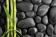 Zen Basalt Stones And Bamboo Leaves