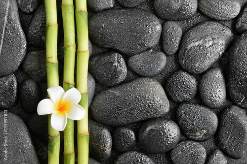 Fototapeta na wymiar frangipani flower and bamboo on the black stones