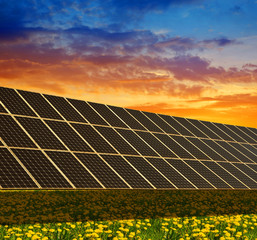 Solar power station on the spring flowering meadow at sunset. Photovoltaic panels generate clean energy.