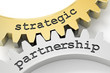© Coloures-Pic - strategic partnership
